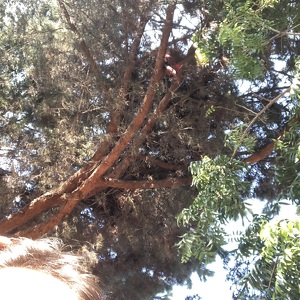 Fundraising Page: Bohdan Kosenko